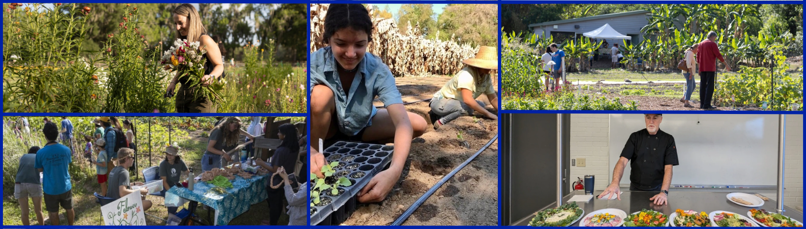 Students and community interacting with the farm