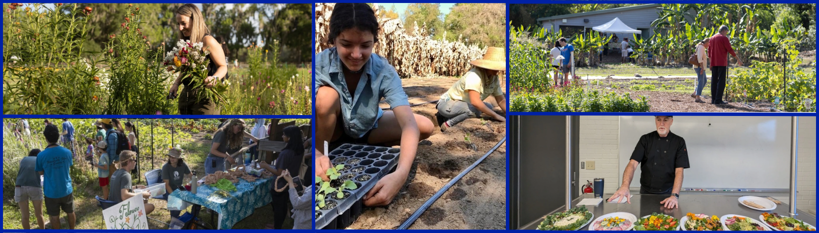 Collage of students and staff at Field & Fork Farm