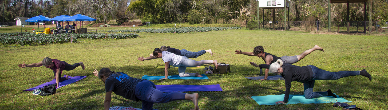 Yoga at the Fork and Field Gardens