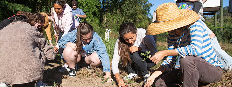 Students working in the Field and Fork Garden
