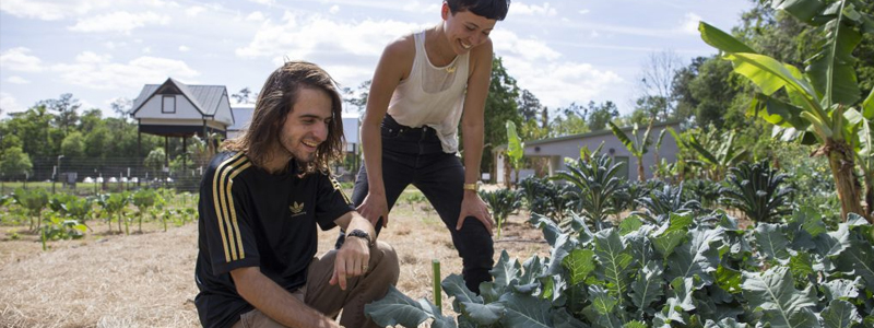 Students working in the Field and Fork Garden