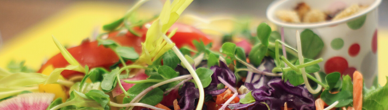 Salad with dressing cup
