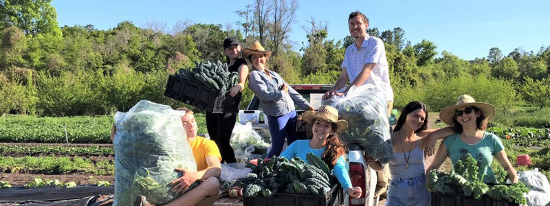 Interns at the FIeld and Fork Farm